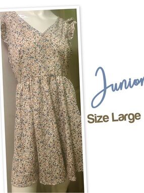 Floral Print Juniors Dress in Beige and Blue